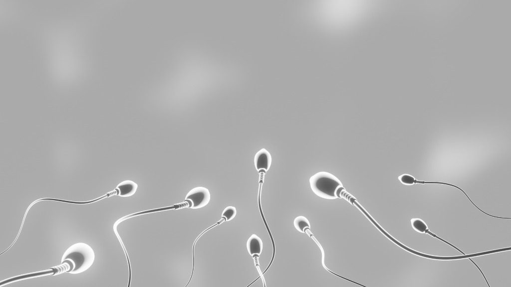 Tinh trùng bình thường có đầu cổ đuôi đầy đủ