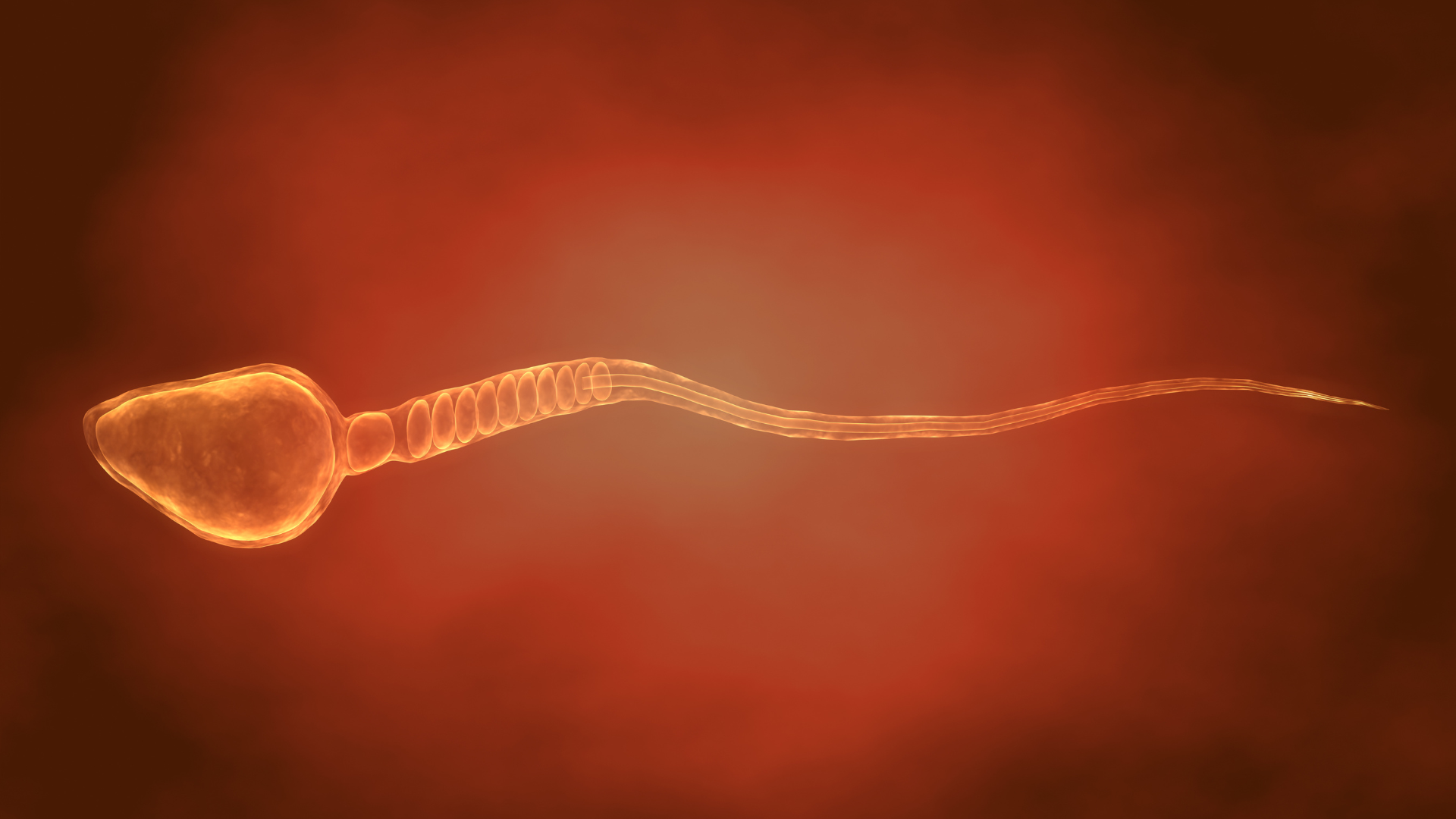 Cân nhắc trước khi quan hệ bằng miệng