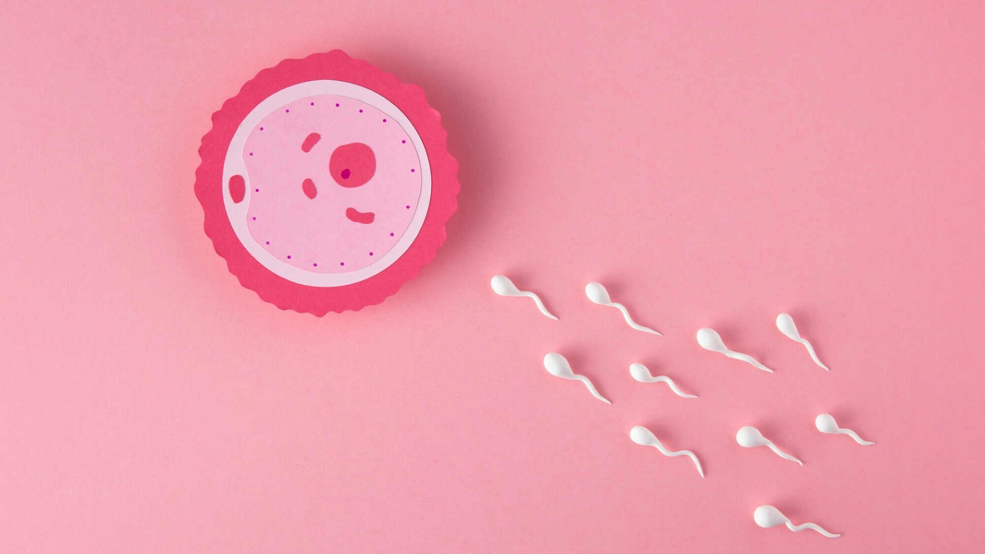 Quan hệ trước 5 ngày có kinh nguyệt có thai không